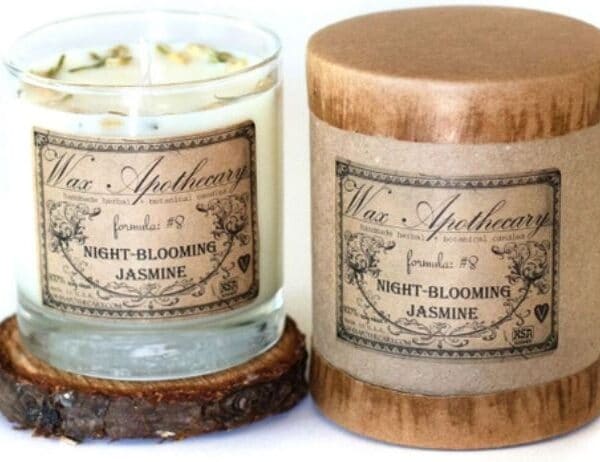 Night-Blooming Jasmine Botanical Candle in Scotch Glass 7 OZ